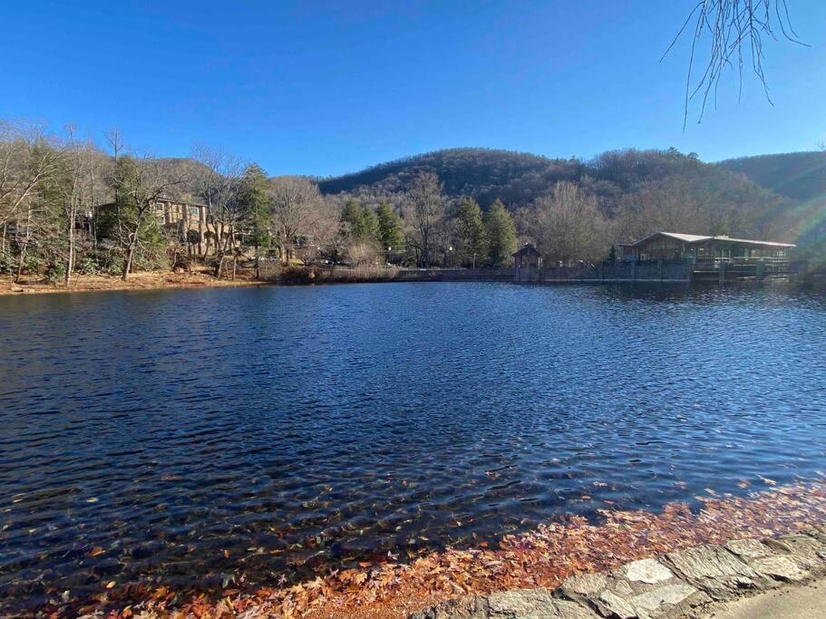 블랙 마운틴 Montreat Round House - Mountain Views, Renovated 빌라 외부 사진