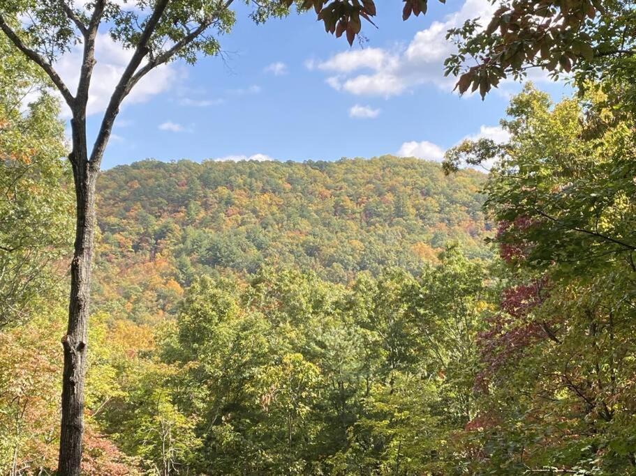 블랙 마운틴 Montreat Round House - Mountain Views, Renovated 빌라 외부 사진